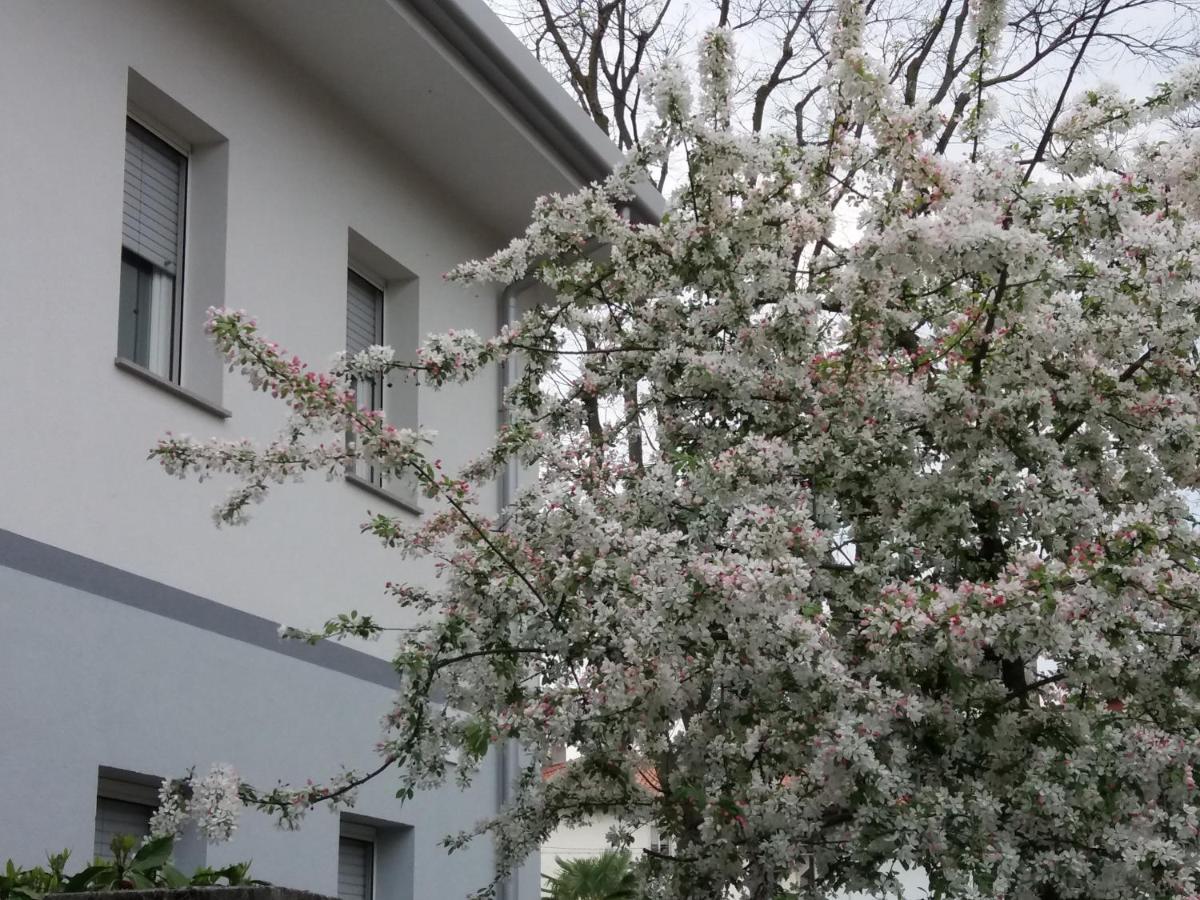 Civico 51 B&B Udine Dış mekan fotoğraf